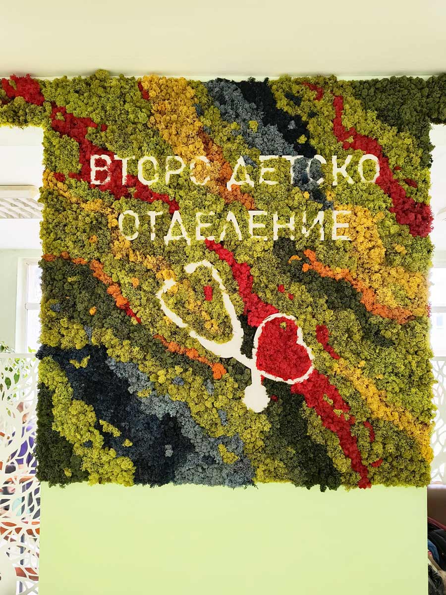 Скандинавски мъх по формата на цветен микс