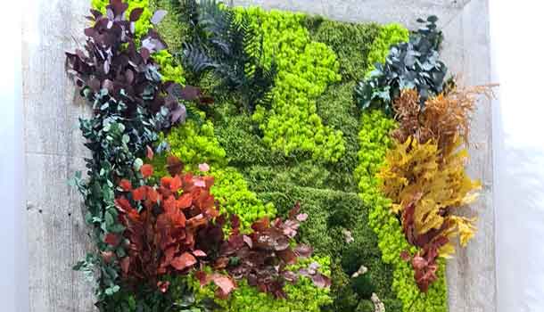 Vertical gardens MOSS wild