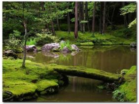 Mosses in nature as a natural branding tool and truly green advertising