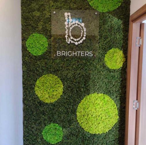 Brighters-MOSS-1.jpg