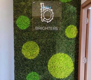 Green moss wall with a company logo (ref. Dubai Design District)