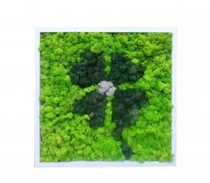 Clover made of polar Scandinavian moss