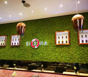 MOSS wall in a restaurant. Moss walls in Dubai, UAE