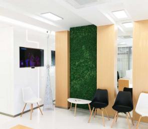 Green wall at dental studio Smile art