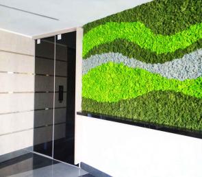 Preserved moss wall with wave motifs (ref. Dubai, UAE)