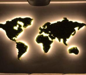 Map of the world with preserved moss in Abu Dhabi, UAE