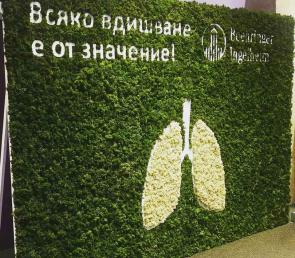 Lungs made of natural white polar moss