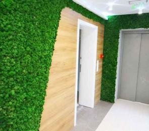 Green wall at Derma Act Clinic in Sofia