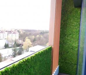 Preserved moss on the terrace of apartment