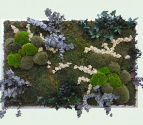 Ранна пролет - зелена картина MOSS wild 1179.00 лв.