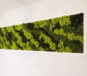 MOSS frame with three colors preserved moss