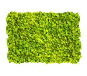 Дизайнерски панели от скандинавски мъх MOSS design 60x40см