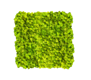 Дизайнерски панели от скандинавски мъх MOSS design 50X50см.