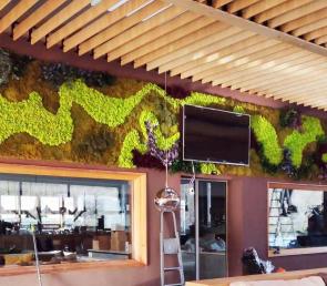 Green walls MOSS wild seriers at a restaurant