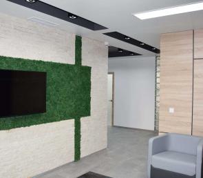 Preserved moss green wall at a dental clinic (ref. Abu Dhabi, UAE)