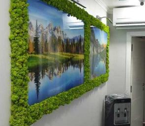 Green decorations of preserved moss in a dental clinic (ref. Dubai)