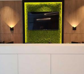 Preserved moss wall at the Fine Design office