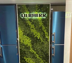 Green wall mix of three colors preserved moss