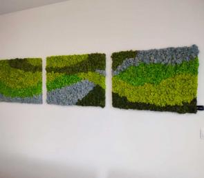 Preserved moss handmade art (ref. Dubai, Jumeirah Beach Residence)