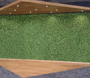 Green walls at Siteground building