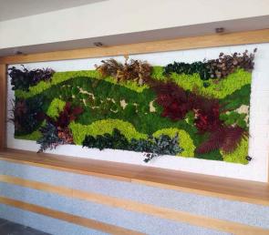 Green wall MOSS wild at the interior of a restaurant