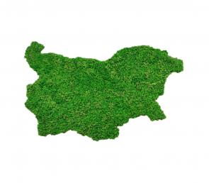 Карта на България от скандинавски мъх 200X125см