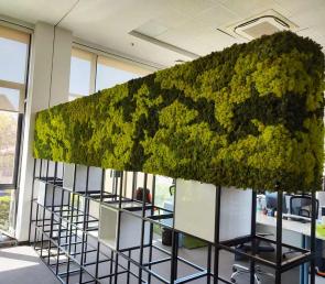 MOSS divider at an open-space office (ref. Dubai, Abu Dhabi)