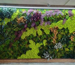 Vertical garden in 10th "Aleko Konstantinov" school