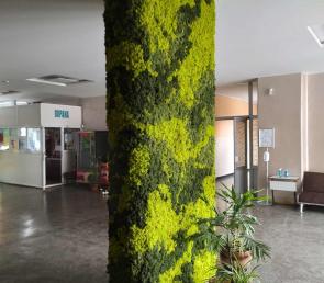 Green column of moss at a secondary school
