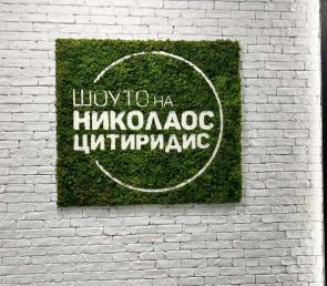 "The Nikolaos Tsitiridis Show" - moss logo