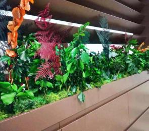 MOSSwild green panels in planters for interior