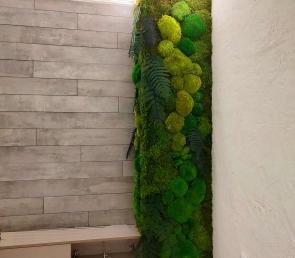 Зелени колони MOSS wild в частен дом