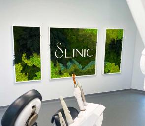 Triptych from three MOSS wild frames at a dental studio