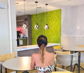 Зелени стени и пана от мъх в хотел Hyatt Dreams Sunny Beach