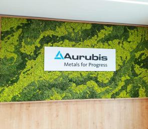 Green wall with marble mix of three colors moss