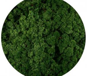 Grass green preserved moss (5kg, Ref.Nr: 078, UAE)