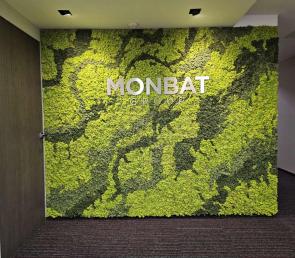 Green walls and moss columns at Monbat's office