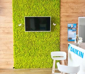 Green wall and moss branding in Ataro Clima's office