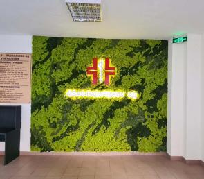 Green wall with logo in a hospital